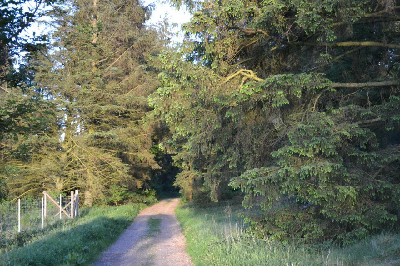 Villa Hyggehus Humptrup Esterno foto